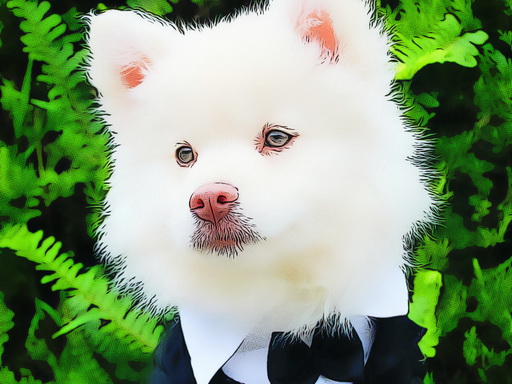 Funny Baby Animals Jigsaw Puzzle Game - Puzzle Game