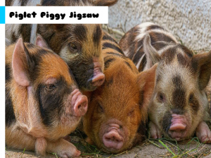 Piglet Piggy Jigsaw Online Puzzle Game - Puzzle Game