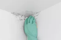 Why Painting Over Bathroom Mold Is a Costly Mistake