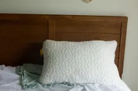 Best Pillows for Combination Sleepers: 10 Tested Picks for Every Sleeper